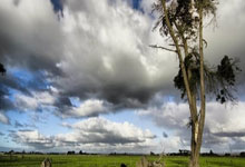 哈尔滨亚冬会倒计时30天：冰雪同梦，亚洲同心中国新闻网.