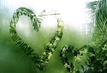 九游娱乐：国足0比2不敌澳大利亚队 无缘直通世界杯3-25 20：55.