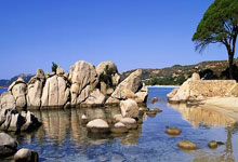 4位主帅曾三夺欧冠！齐达内上榜，瓜帅在列，一.